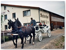 19 - Hochzeitskutsche 2-spännig - vom Reiterhof zur Feier